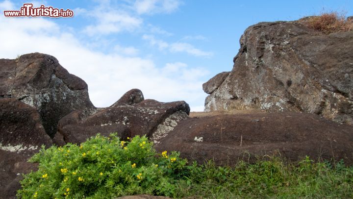 Immagine Un Maoi incompiuto al centro del cratere ai piedi del vulcano Rano Raraku, Rapa Nui (Cile) - © 232631593 / Shutterstock.com