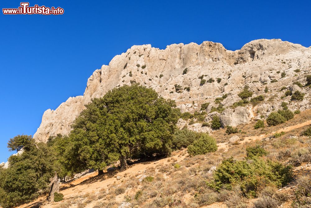 Immagine Un massiccio calcareo del Superamonte di Oliena in Barbagia (Sardegna).