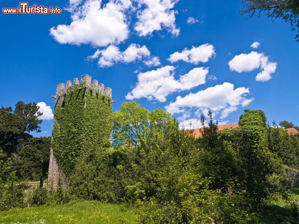 Immagine Un monastero fortificato delle Elfaiti in Croazia: siamo a Sipan, non lontano da Dubrovnik in Dalmazia
