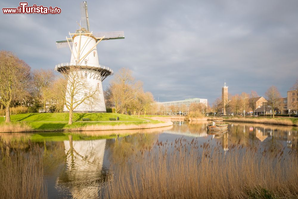 Immagine Un mulino a vento fotografato al tramonto poco fuori la città di Middelburg, Olanda.