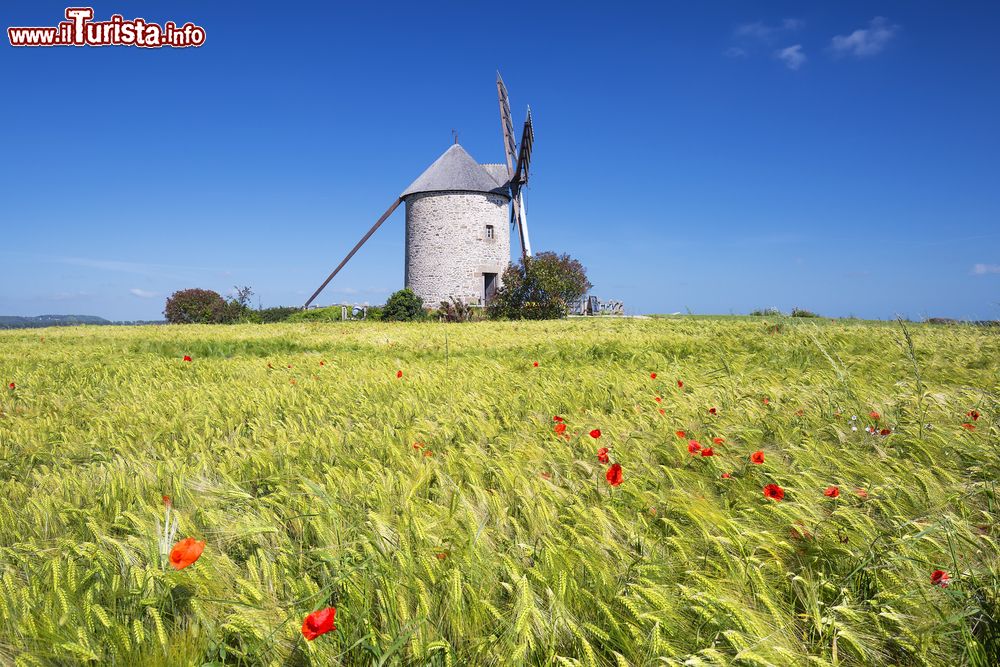 Immagine Un mulino a vento in un campo di grano a Pontorson, Francia. Situata nella baia di Mont Saint-Michel, questa graziosa località è attraversata dal fiume Couesnon.