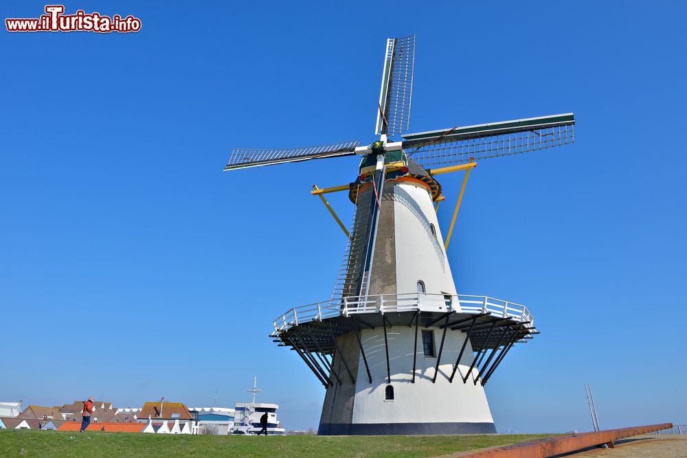 Immagine Un mulino a vento sulla costa di Vlissingen, Olanda: la sua costruzione risale al 1699.
