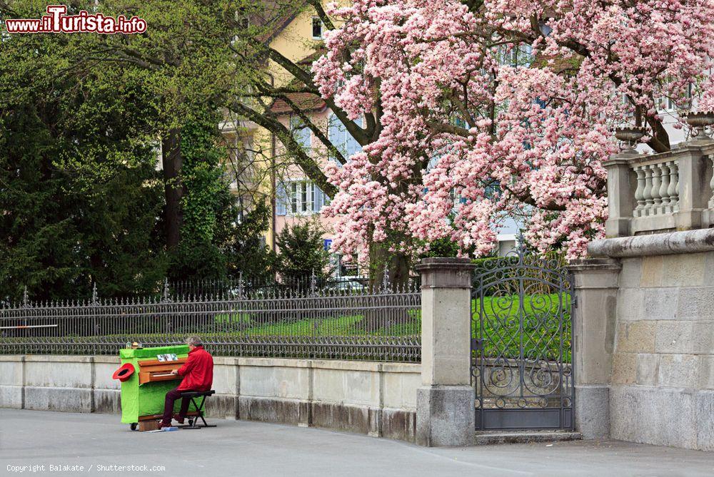 Immagine Un musicista di strada suona il piano nel centro storico di Zugo, Svizzera. Fondata all'inizio del XIII° secolo in pieno medievo, Zugo conserva numerose testimonianze architettoniche del periodo di costruzione - © Balakate / Shutterstock.com