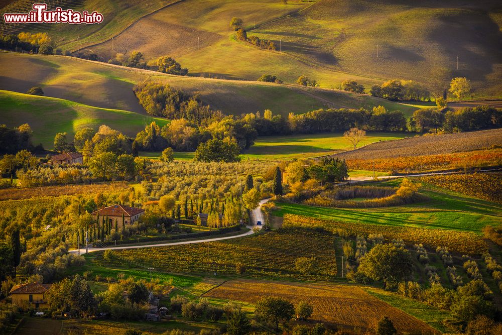 Immagine Un paesaggio bucolico sulla campagna di Montepulciano, Toscana, Italia. Una bella immagine scattata dall'alto della città con i colori autunnali.