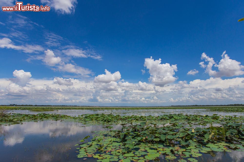 Immagine Un panorama naturale del Mlilwane Wildlife Sanctuary nello Swaziland, Africa. E' la meta ecologica più popolare per gli abitanti e per i turisti provenienti da tutto il mondo.