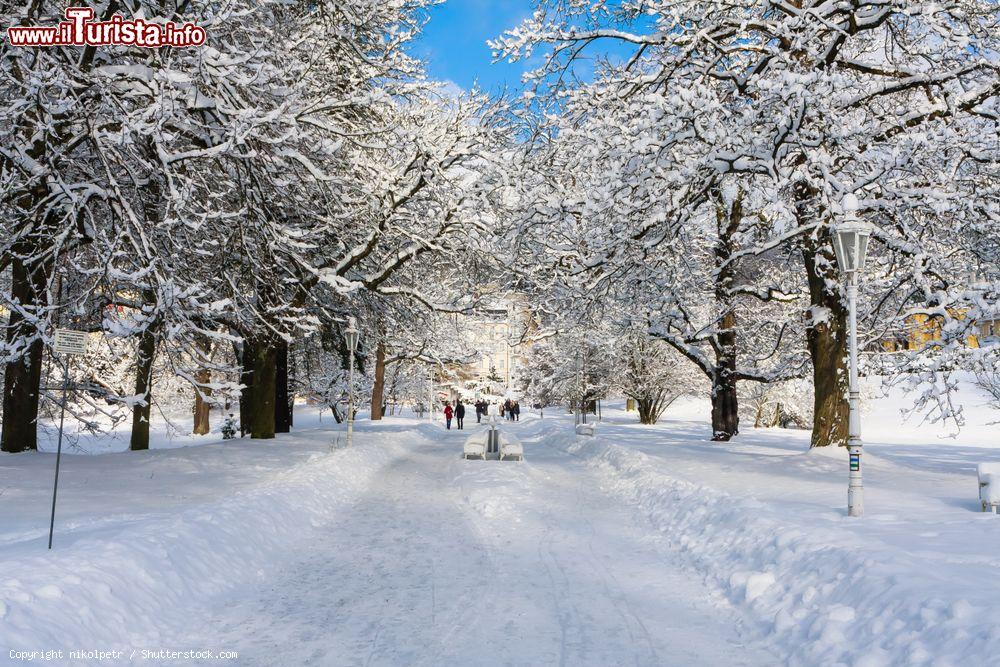 Immagine Un parco nel centro cittadino di Marianske Lazne, Repubblica Ceca, in inverno con la neve. Siamo sul fronte meridionale della foresta di Slavkov - © nikolpetr / Shutterstock.com