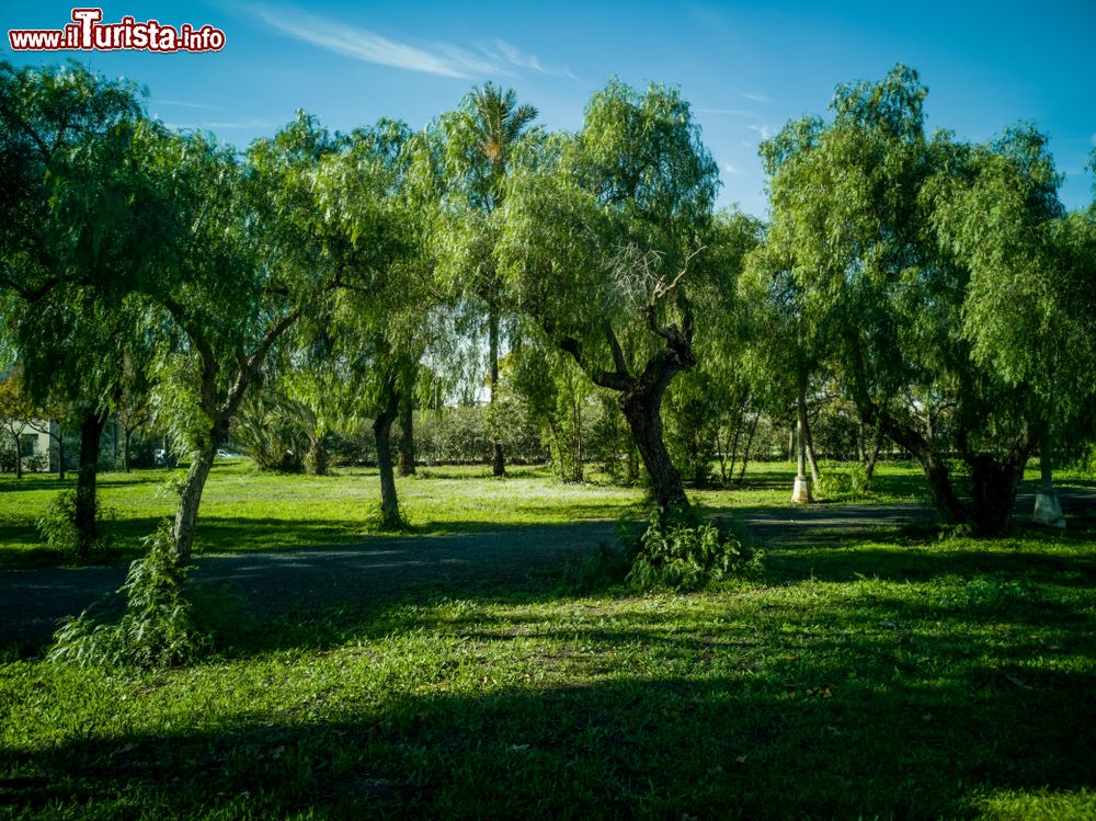 Immagine Un parco pubblico nei pressi del porto di Sagunto, Spagna.