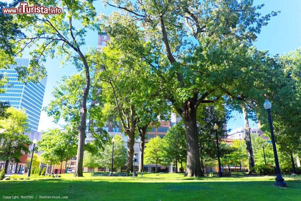 Immagine Un parco pubblico nel cuore della città di Memphis in Tennessee (Stati Uniti d'America) con i grattacieli sullo sfondo - © Mont592 / Shutterstock.com