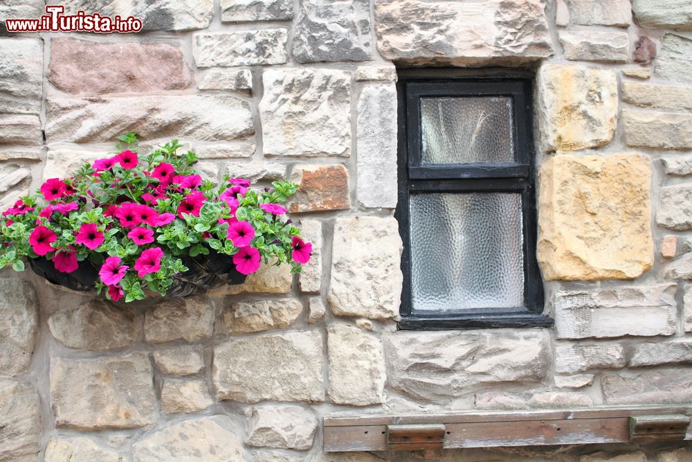 Immagine Un particolare del muro in pietra di una casa a Seahouses, Inghilterra. Ad abbellire la facciata, un vaso di fiori colorati.