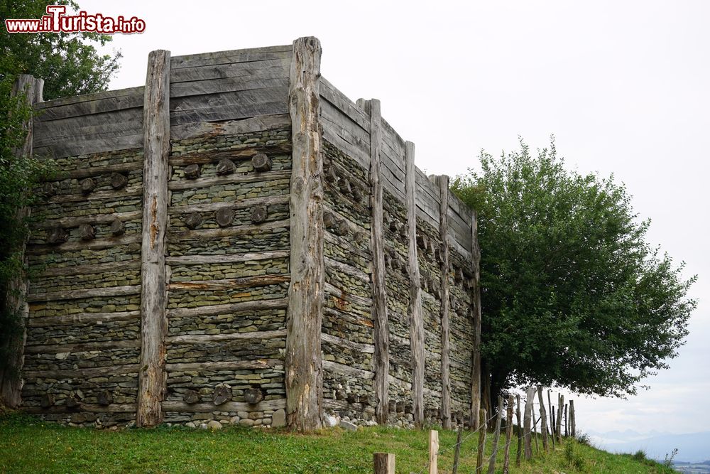 Immagine Un particolare delle fortificazioni elvetiche a Mount Vully, Svizzera.