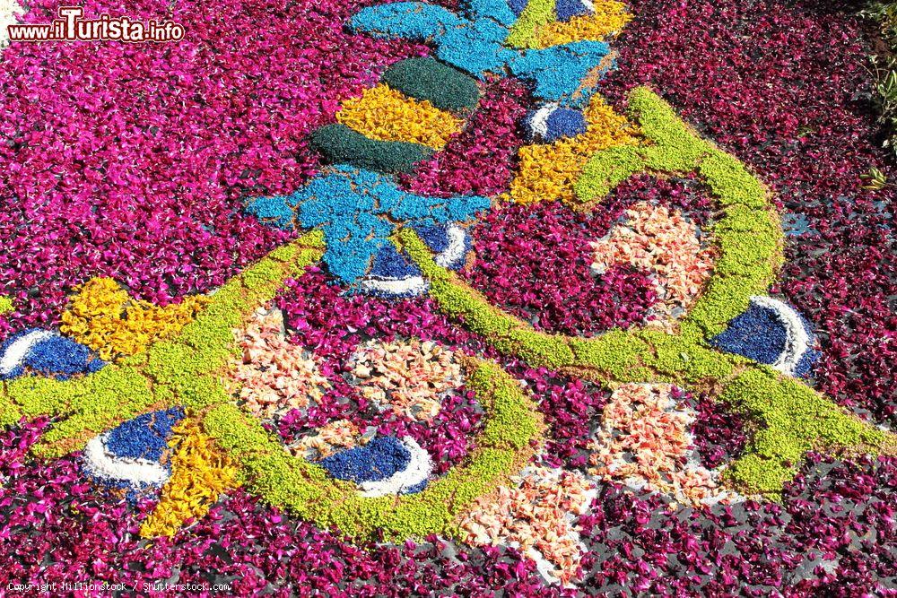 Immagine Un particolare dell'Infiorata Termitana che si svolge nel centro di Termini Imerese in Sicilia - © Millionstock / Shutterstock.com