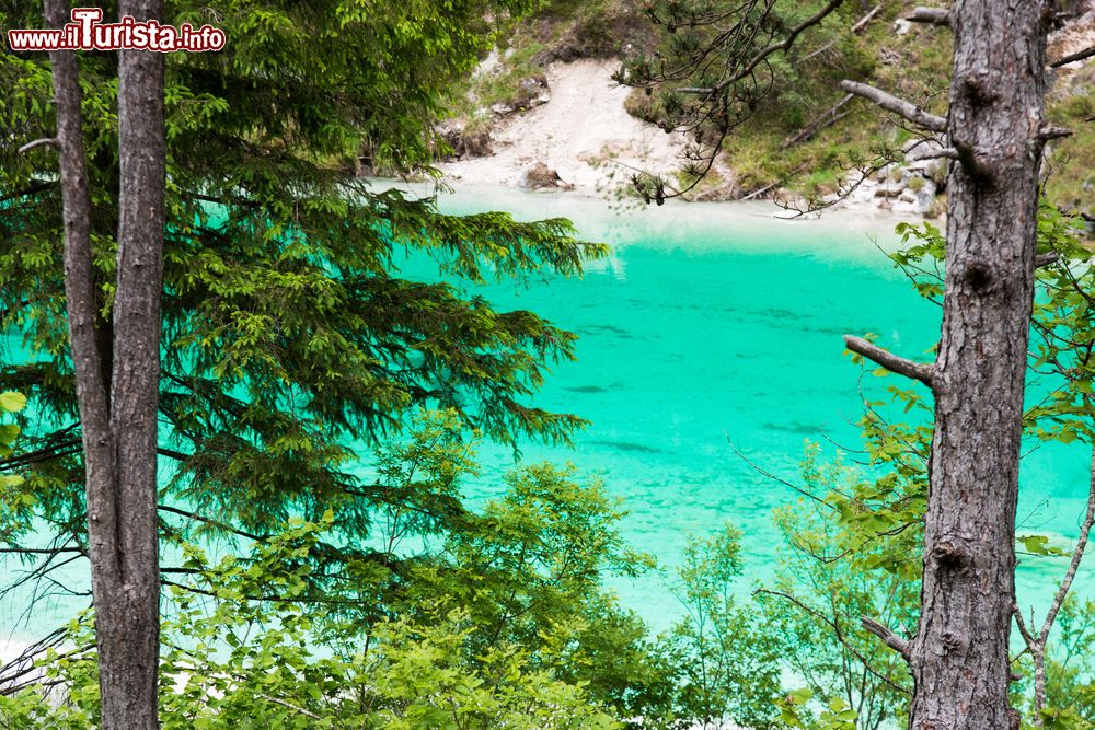 Immagine Un particolare di un lago artificiale nei pressi di Chiusaforte in Friuli Venezia Giulia