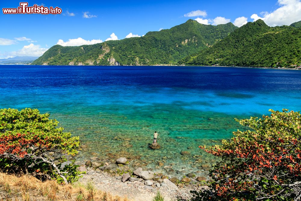 Immagine Un pescatore sul mare limpido di Scott's Head, in Dominica (Caraibi)