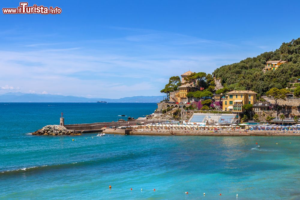 Immagine Un piccolo molo fotografato dalla città di Recco, Genova, Liguria. Vegetazione rigogliosa e mare blu-azzurro fanno di questo angolo ligure un vero e proprio paradiso naturale.