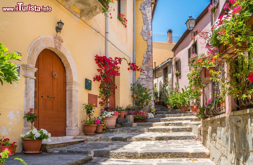 Immagine Un pittoresco angolo del centro storico di Forza d'Agrò (Sicilia) impreziosito da fiori e alberi.