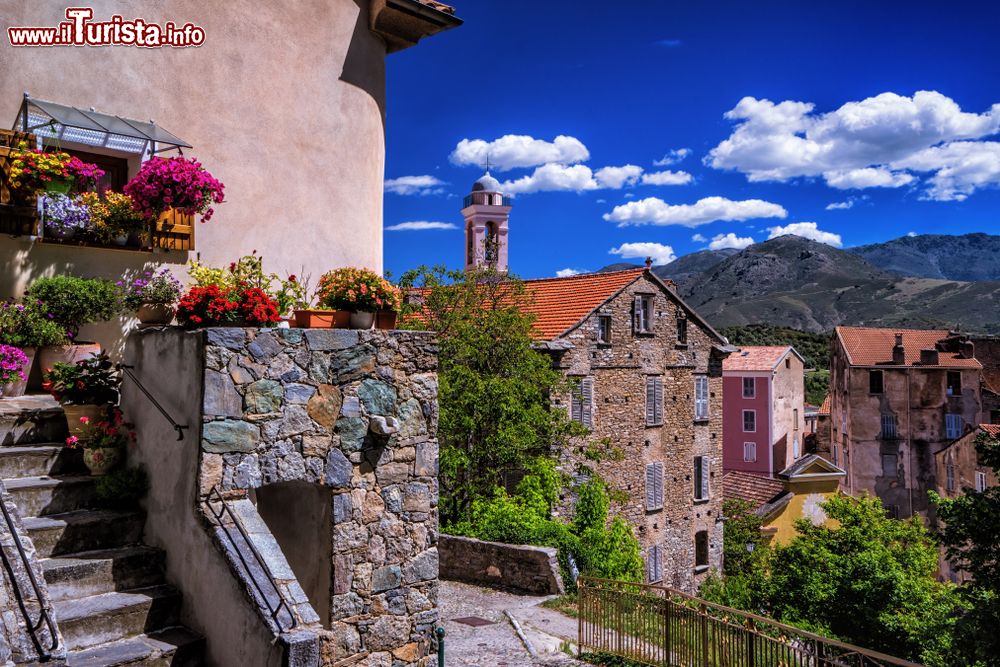 Immagine Un pittoresco angolo floreale nel borgo di Corte, Corsica.