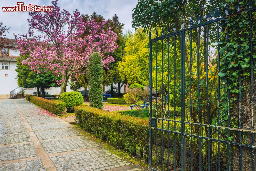 Immagine Un pittoresco angolo verde nella cittadina di Viseu, Portogallo. Questa località di antiche origini sorge in una zona agricola sul fiume Paiva.