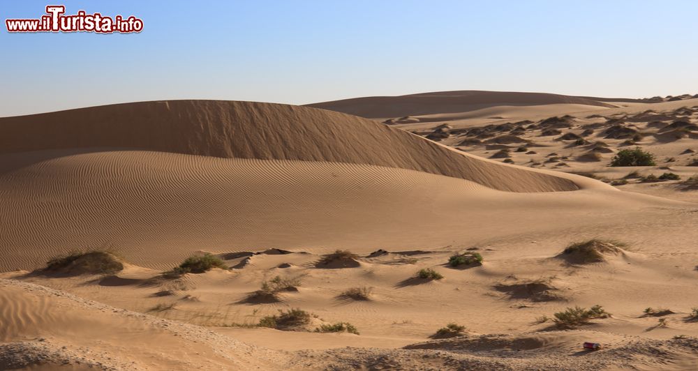 Immagine Un pittoresco cordone di dune fra Nouakchott e Nouadhibou, Mauritania.