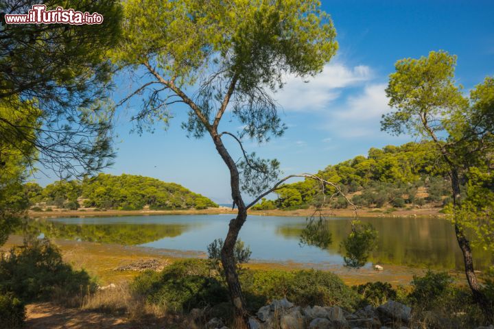 Immagine Un pittoresco laghetto nei pressi di Aponisos, isola di Angistri, Grecia - © siete_vidas / Shutterstock.com