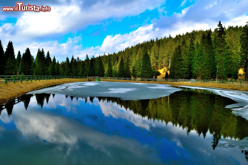 Immagine Un pittoresco lago artificiale a Rogla, Slovenia. Gli alberi che circondano questo bacino creato dall'uomo si rispecchiano nelle acque colorate già dal blu del cielo.