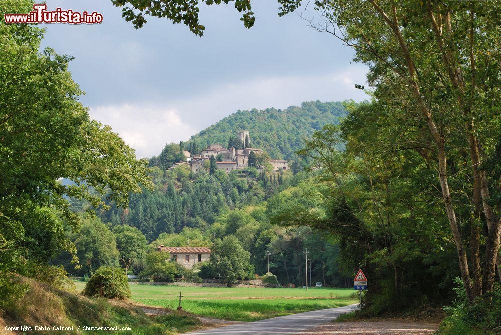 Immagine Un pittoresco panorama del borgo di Barbischio in Chianti, Toscana. Nel 1478 durante la seconda invasione aragonese del Chianti il castello cittadino venne invaso dalle truppe napoletane - © Fabio Caironi / Shutterstock.com