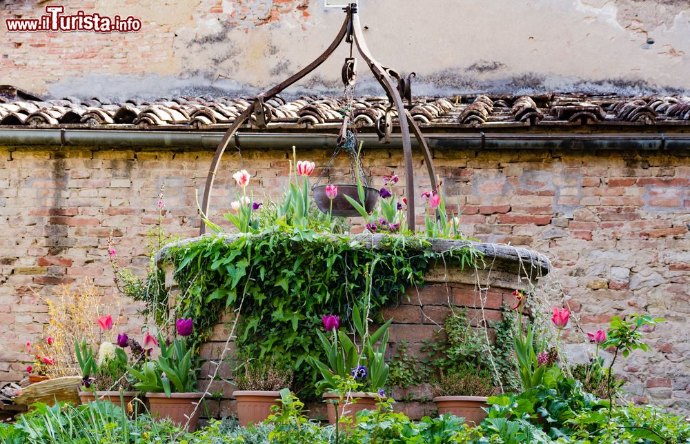 Immagine Un pittoresco scorcio del borgo di Buonconvento, Toscana, con fiori. Perfettamente conservato, Buonconvento ha origini trecentesche.