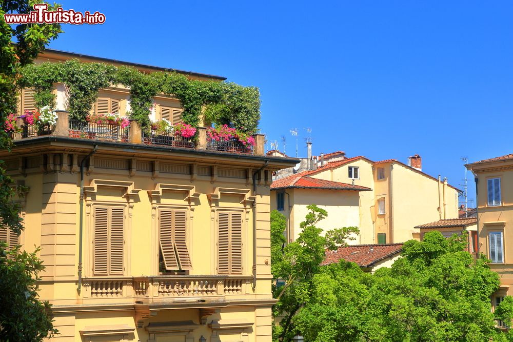 Immagine Un pittoresco scorcio del centro di Lucca con edifici e palazzi, Toscana.