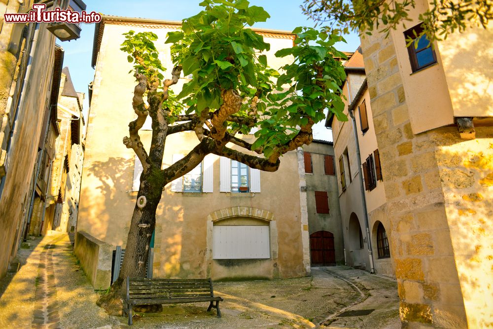 Immagine Un pittoresco scorcio nel centro storico di Bergerac (Francia): una piazzetta con panchina e un grande albero.
