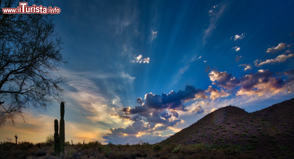 Immagine Un pittoresco tramonto a Scottsdale, Arizona (USA), con la silhouette dei cactus.