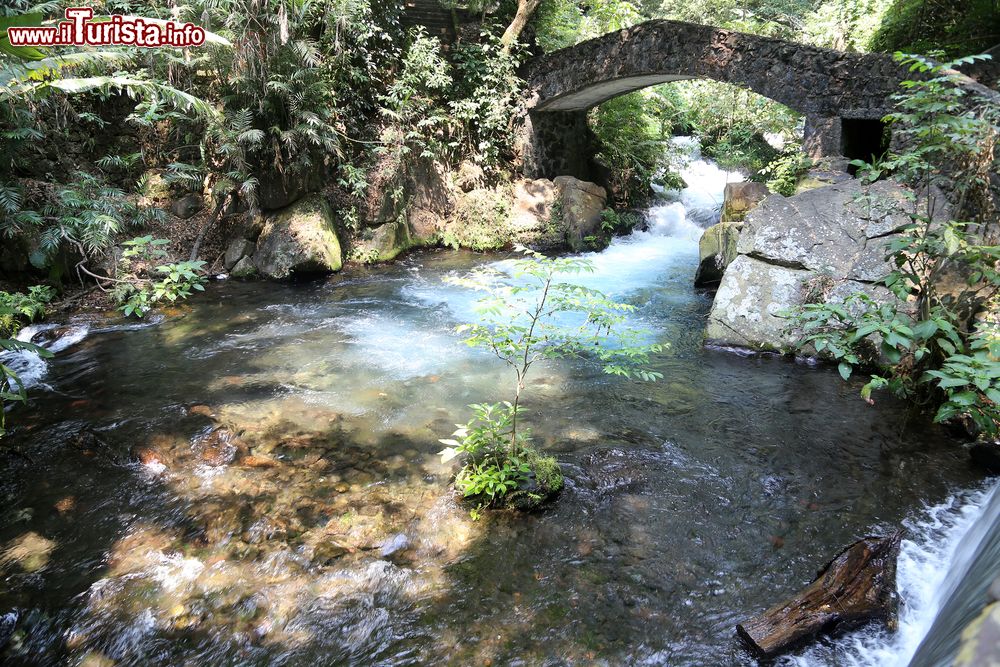 Immagine Un ponte in pietra attraversa uno dei torrenti del Parco Nazionale Barranca del Cupatitzio, Uruapan, Messico. Quest'area verde opsita le sorgenti del fiume Cupatitzio in un sito conosciuto come "il ginocchio del diavolo". Andando alla scoperta dei suoi paesaggi si potranno ammirare cascate e piccoli bacini d'acqua trasparente.