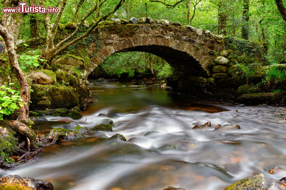 Immagine Un ponte in pietra sulle acque del fiume Bovey presso Hisley Woods nel Dartmoor National park, sud Inghilterra