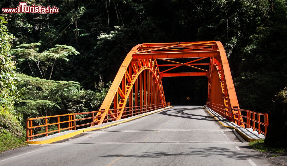 Immagine Un ponte nella giungla di Junin, Perù. Questa località incastonata a 4270 metri di altitudine nella Cordigliera centrale del Perù è famosa perché Simon Bolivar ottenne qui la vittoria decisiva che pose fine alla dominazione spagnola nel paese.