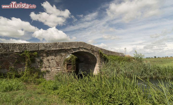 Immagine Un vecchio ponte sul Naviglio di Bereguardo nei pressi di Abbiategrasso - © Claudio Giovanni Colombo / Shutterstock.com