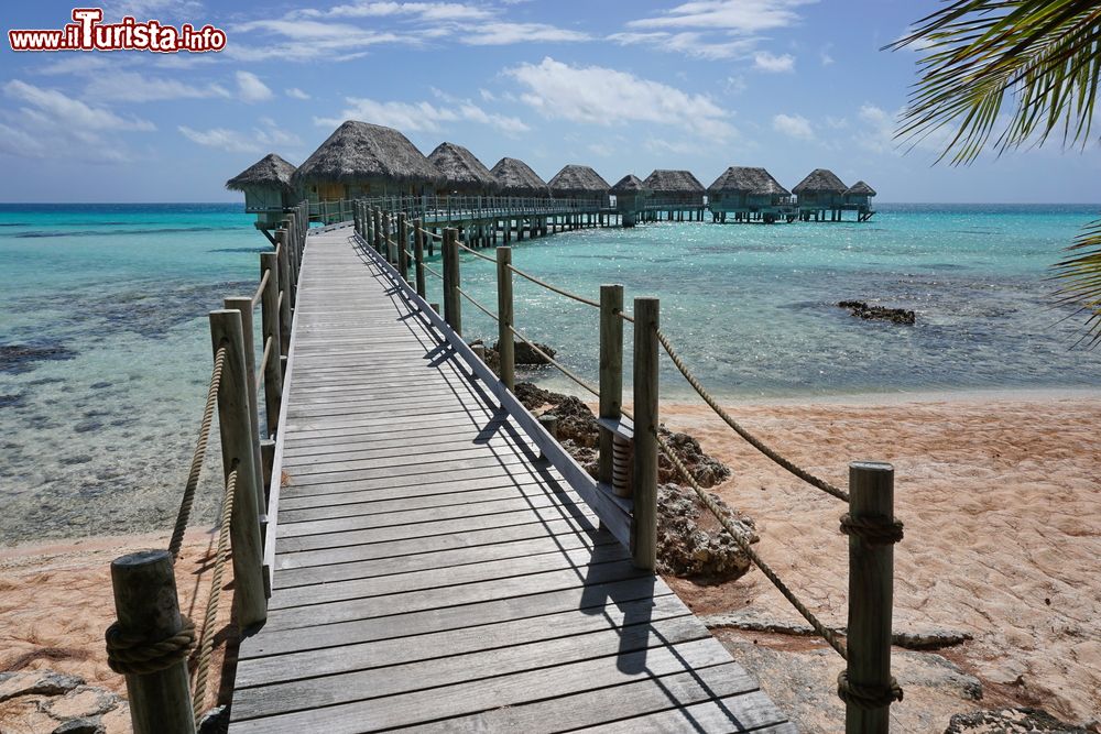 Immagine Un ponticello in legno per raggiungere i bungalows del resort di Tikehau, atollo dell'arcipelago di Tuamotu (Polinesia Francese).
