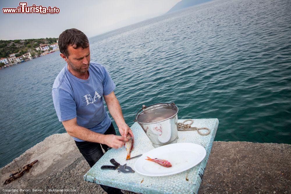 Immagine Un ristoratore prepara il pesce per il pranzo a Trikeri, penisola greca di Pilion (Tessaglia) - © Marcel Bakker / Shutterstock.com