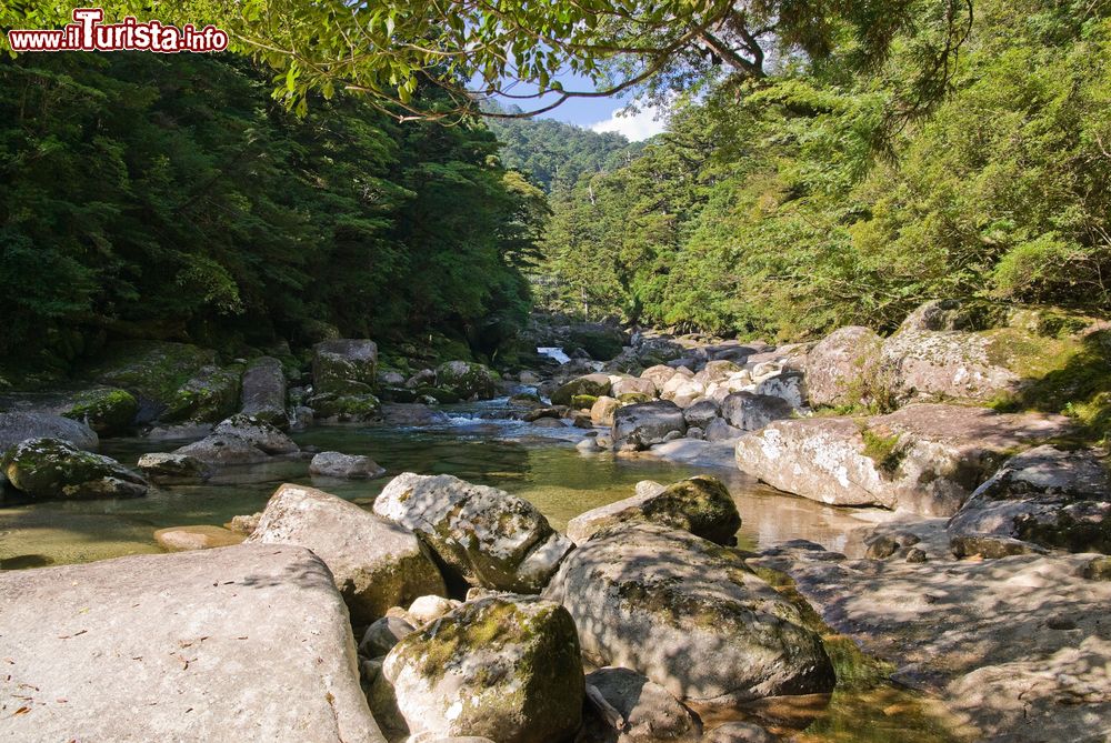 Immagine Un ruscello sulle montagne dell'isola di Yakushima, Giappone.