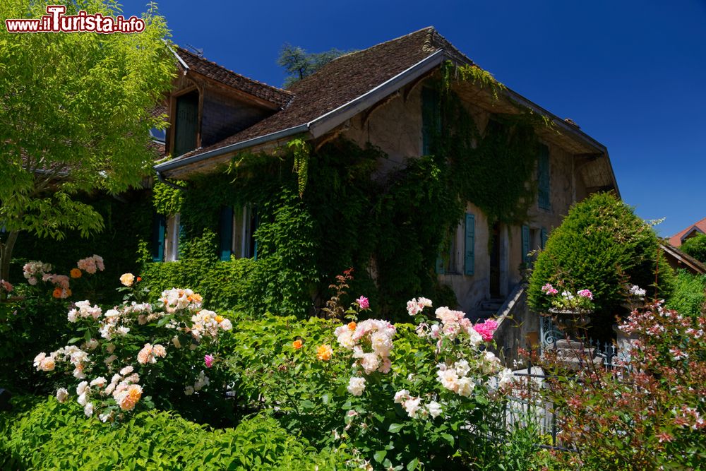 Immagine Un rustico con delle rose alla periferia di Menthon Saint Bernard, sula lago di Annecy in Francia
