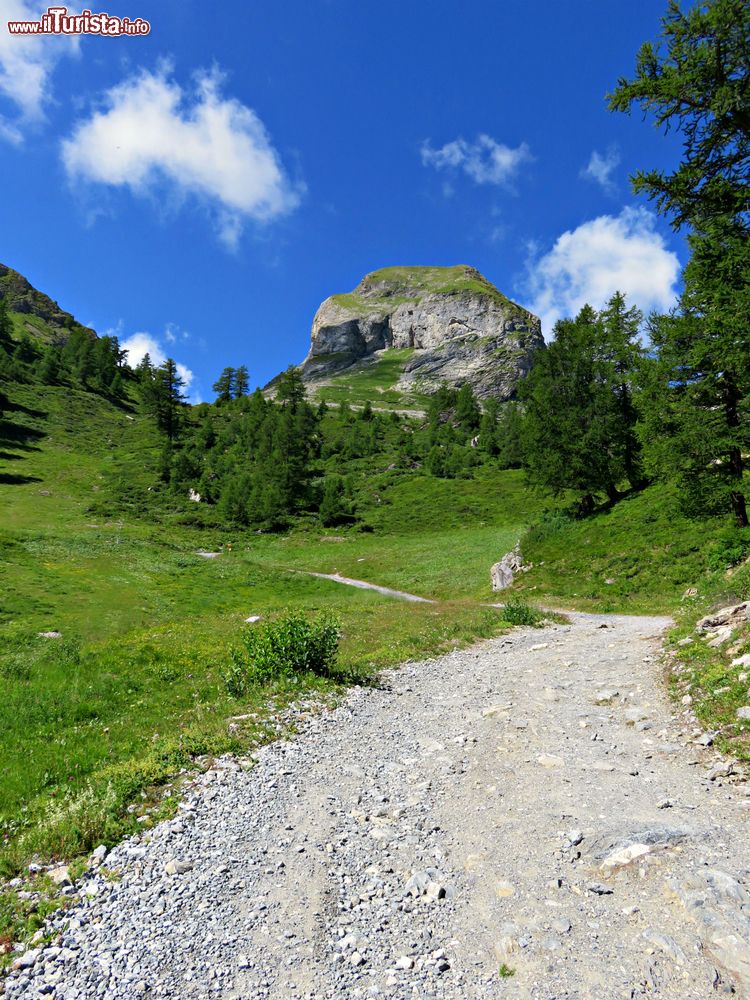 Immagine Un sentiero escursionistico fra le montagne di Ovronnaz, Svizzera.