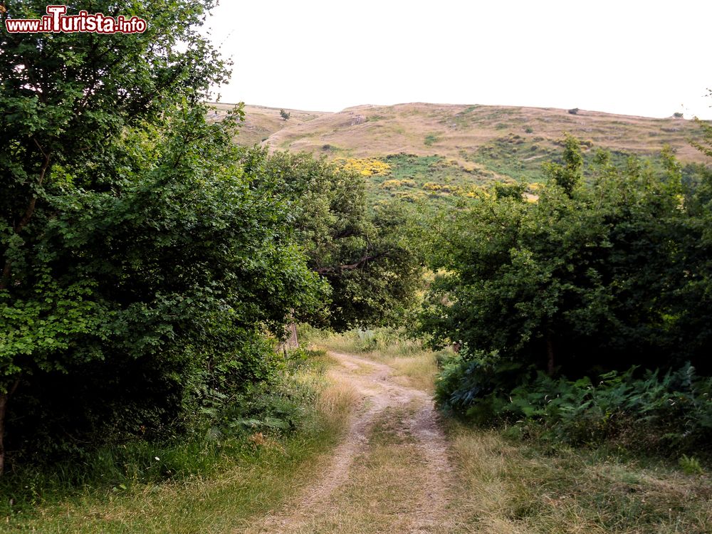 Immagine Un sentiero nelle campagne di Manoppello in Abruzzo