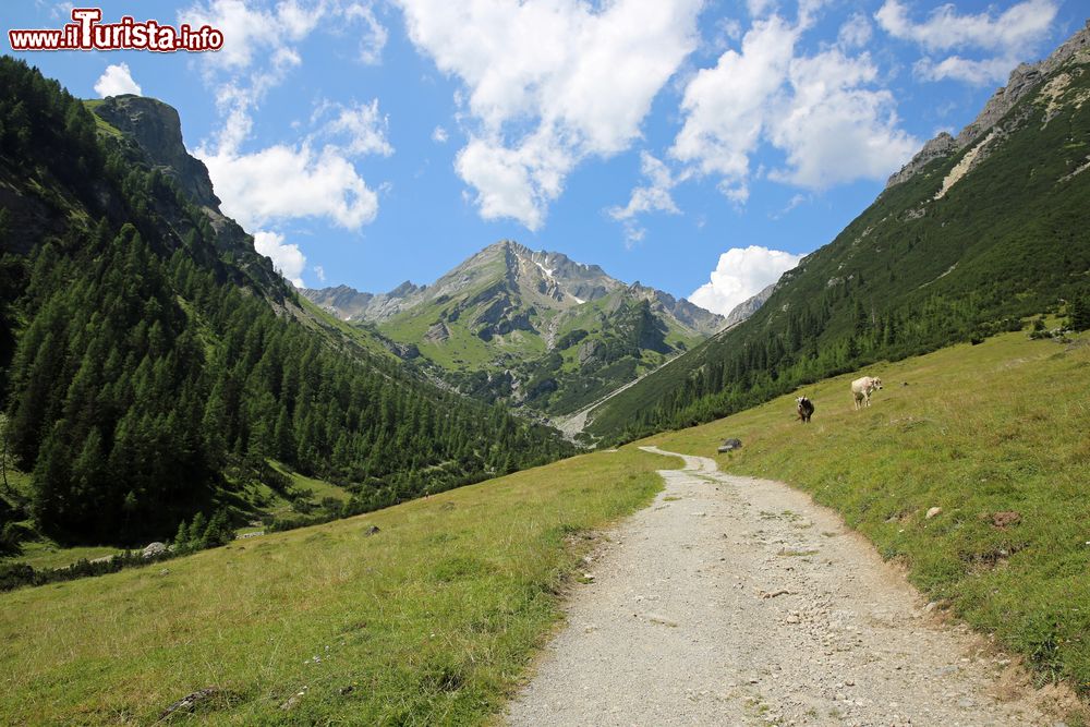 Immagine Un sentiero sulle Alpi nei pressi di Imst, Tirolo (Austria). Qui le opportunità per fare escursioni a piedi o in mountain bike sono davvero numerose.