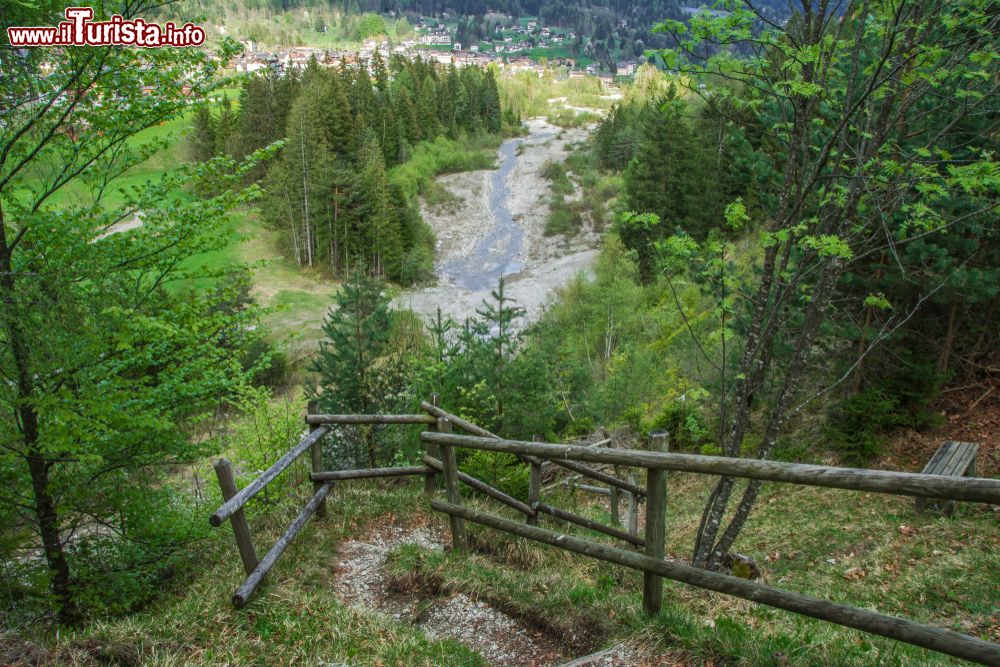 Immagine Un sentiero sulle montagne della Carnia a Forni di Sopra in Friuli Venezia GIulia