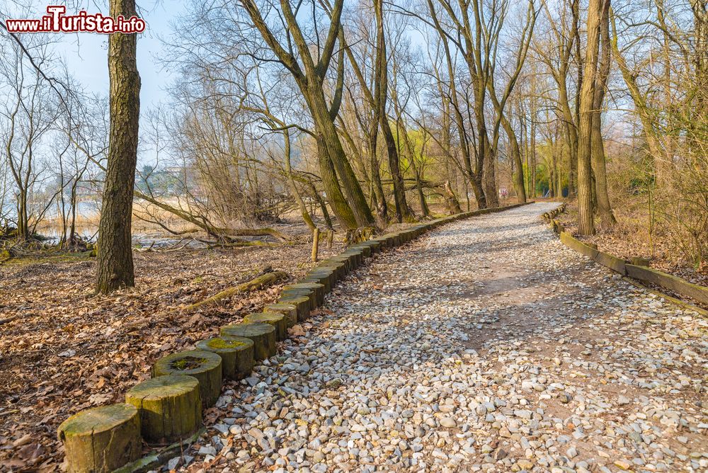 Immagine Un sentiero sulle rive del lago Maggiore a Monvalle in Lombardia