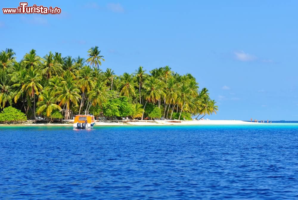 Le foto di cosa vedere e visitare a Laccadive