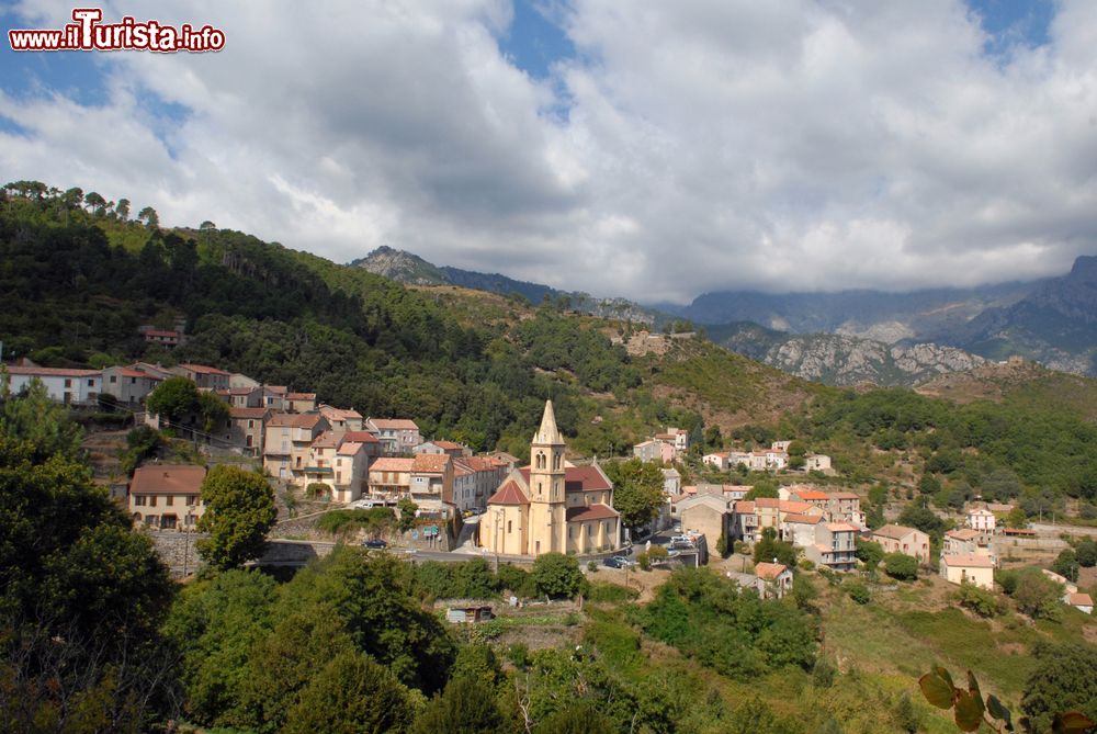 Le foto di cosa vedere e visitare a Vizzavona