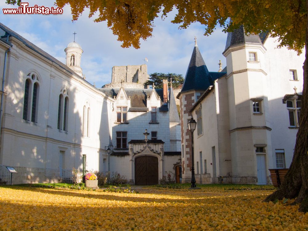 Immagine Un suggestivo scorcio di Montrichard, Francia, in autunno con le foglie di ginkgo-biloba.