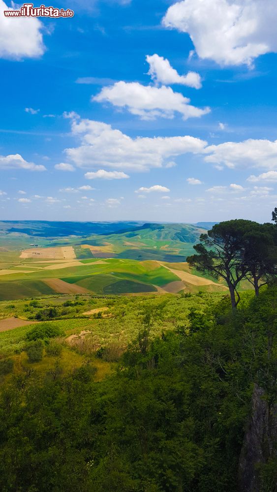 Immagine Un suggestivo scorcio panoramico della campagna di Irsina, Basilicata.