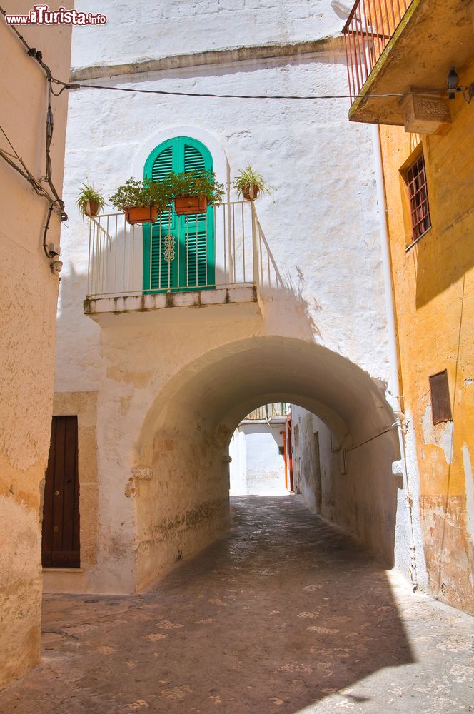 Immagine Un suggestivo scorcio panoramico fra i vicoli della città di Fasano, Puglia, Italia.