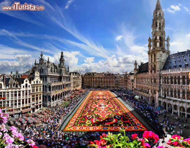Flower Carpet Bruxelles
