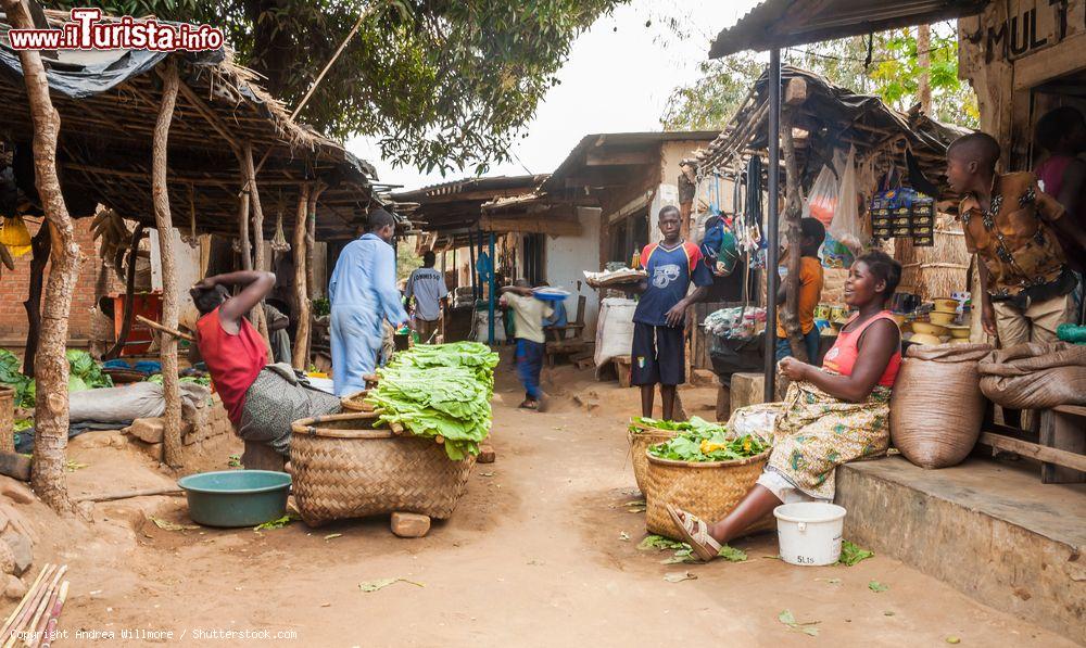 Immagine Un tipico mercato rurale di prodotti freschi a Lilongwe, Malawi - © Andrea Willmore / Shutterstock.com