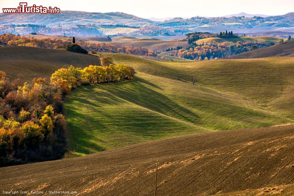 Immagine Un tipico paesaggio delle Crete senesi visto da Asciano, Toscana. Si tratta della zona a sud-est di Siena: il nome dato a questo territorio deriva dall'argilla, o creta, presente nel terreno e che dona il caratteristico colore grigio azzurro - © Croci Cascino / Shutterstock.com